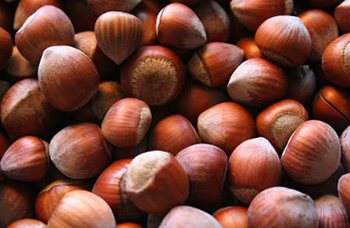 fistashki